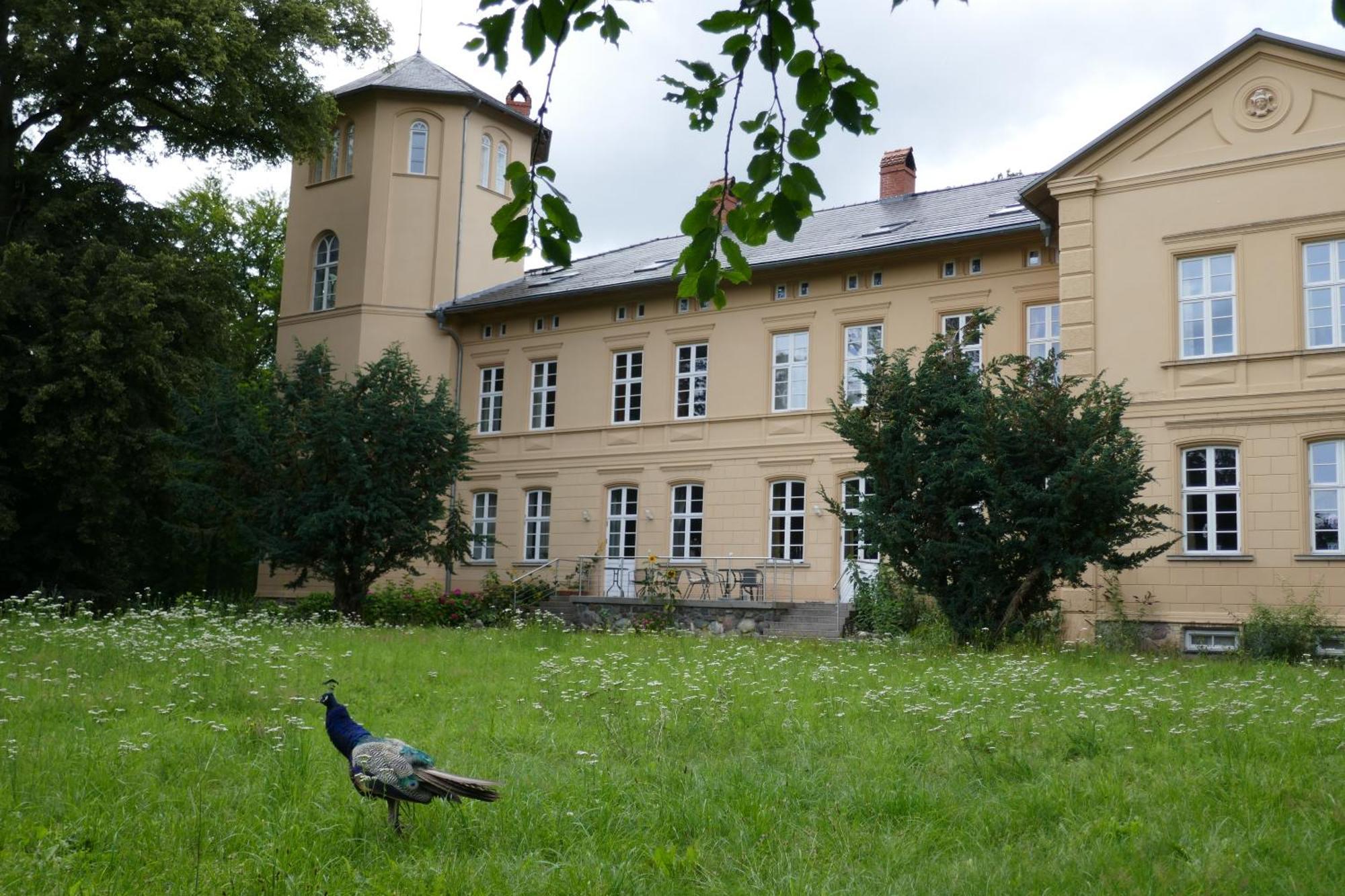 Landhaus Schloss Koelzow Kolzow Ngoại thất bức ảnh